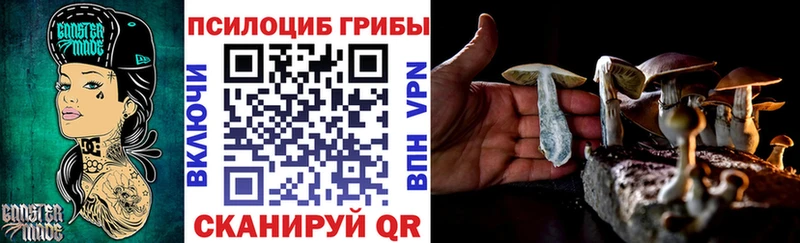 Псилоцибиновые грибы Cubensis  купить наркотик  Вяземский 